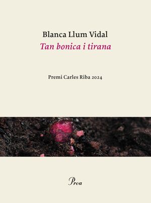 TAN BONICA I TIRANA PREMI CARLES RIBA 2024