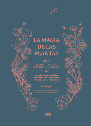 MAGIA DE LAS PLANTAS:ELEMENTO FUEGO/EL FRUTO Y LA SEMILLA